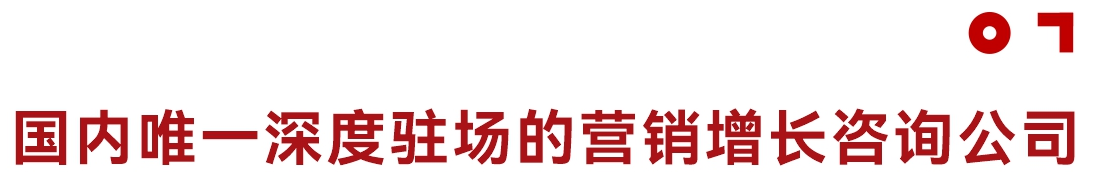 国内唯一深度驻场的营销增长咨询公司